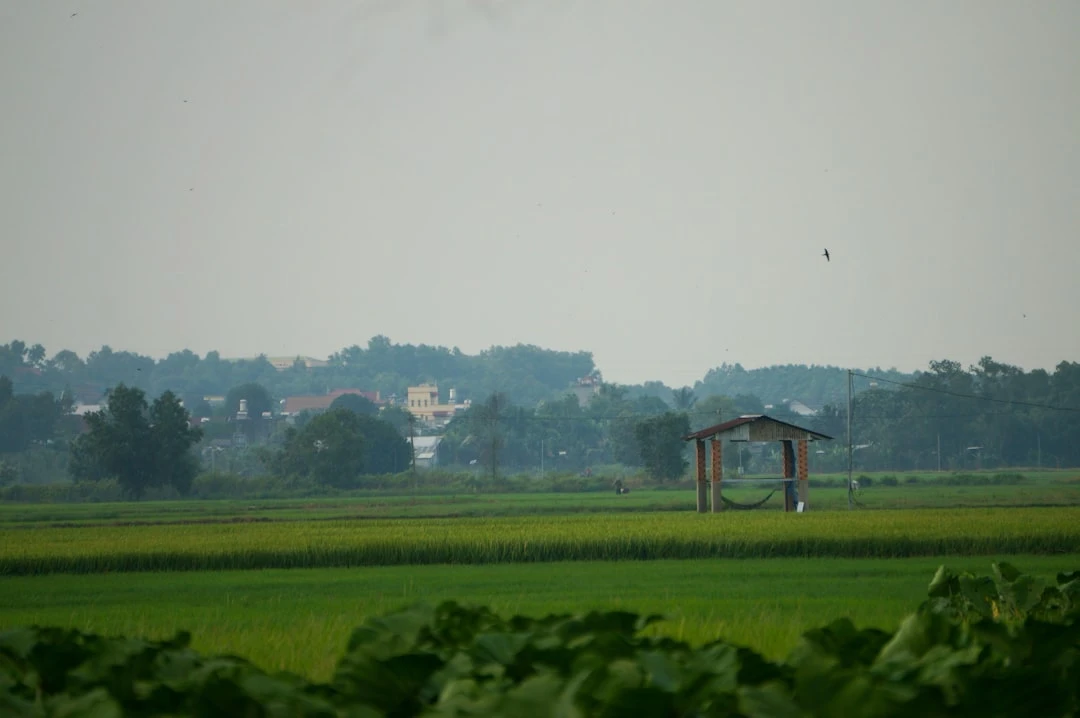 kham-pha-du-lich-mien-que-duoi-goc-nhin-cua-travel-blogger