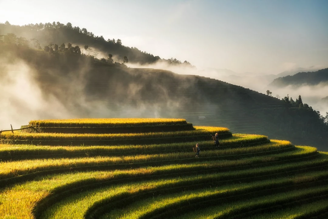 trai-nghiem-xe-du-lich-9-cho-ngoi-duoi-goc-nhin-blogger